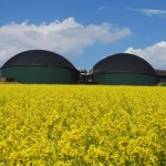 Biomasse für die Wärmeerzeugung © Thomas Otto - Fotolia.com